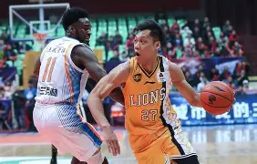 多米APP-广东宏远篮球比赛回放