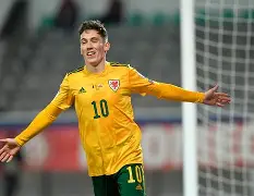 比利时vs威尔士比赛结果